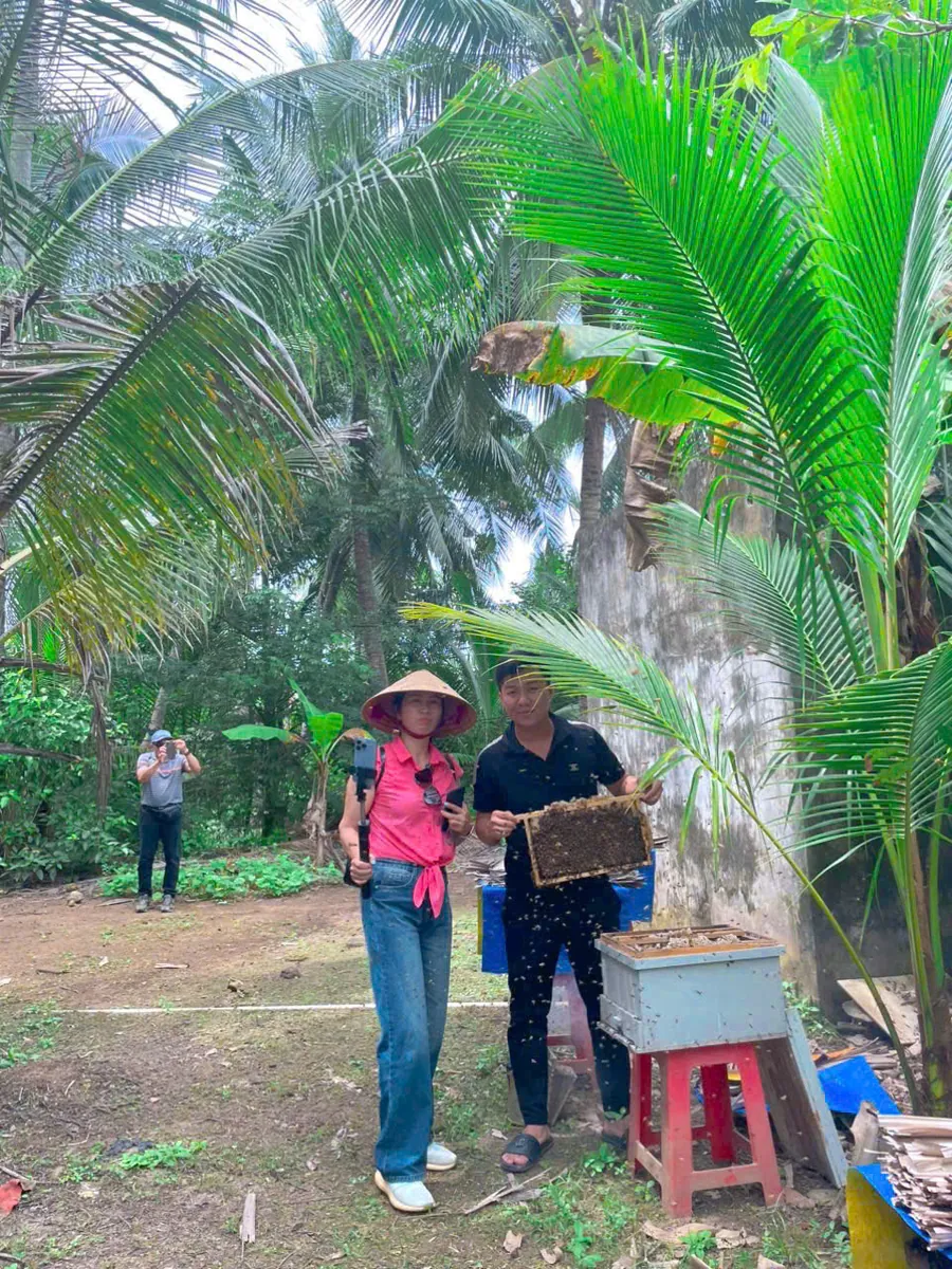 Khảo sát trại ong dú tại vườn dừa