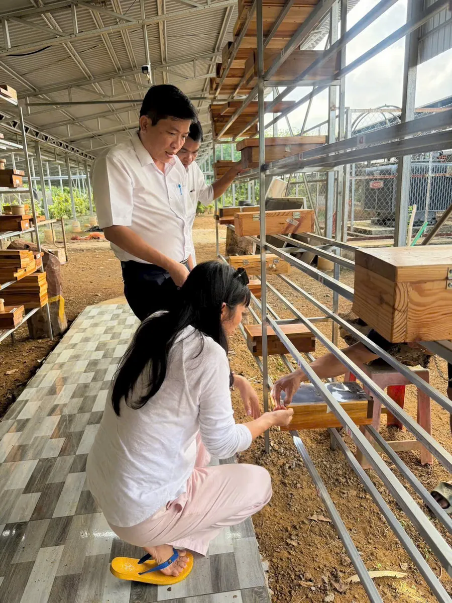 Kiểm tra cầu ong trong nhà nuôi