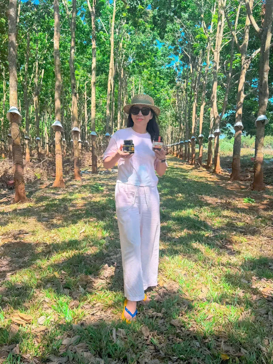 Khảo sát vùng nguyên liệu trong rừng cao su