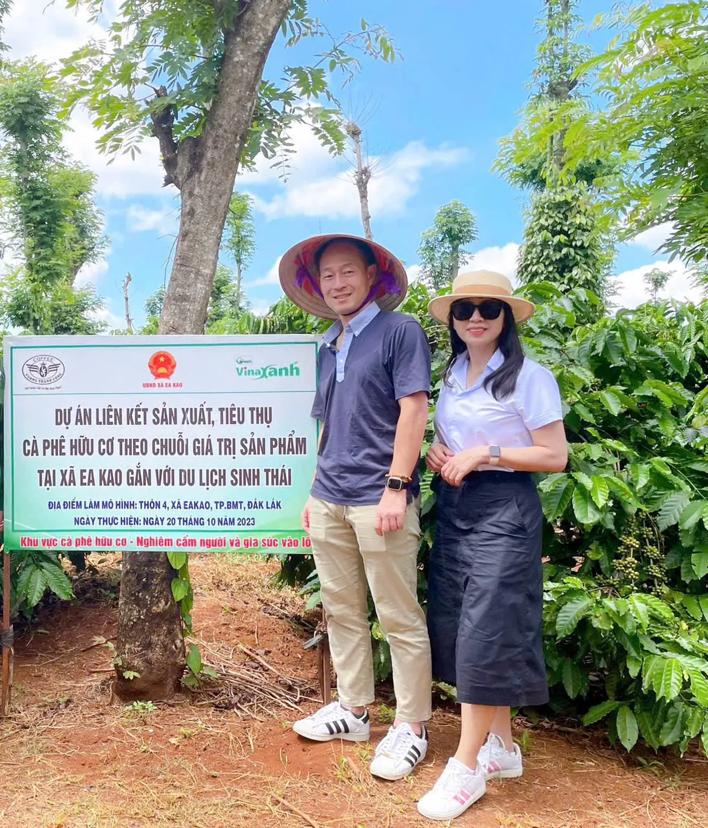 Hoạt động của Lumina
