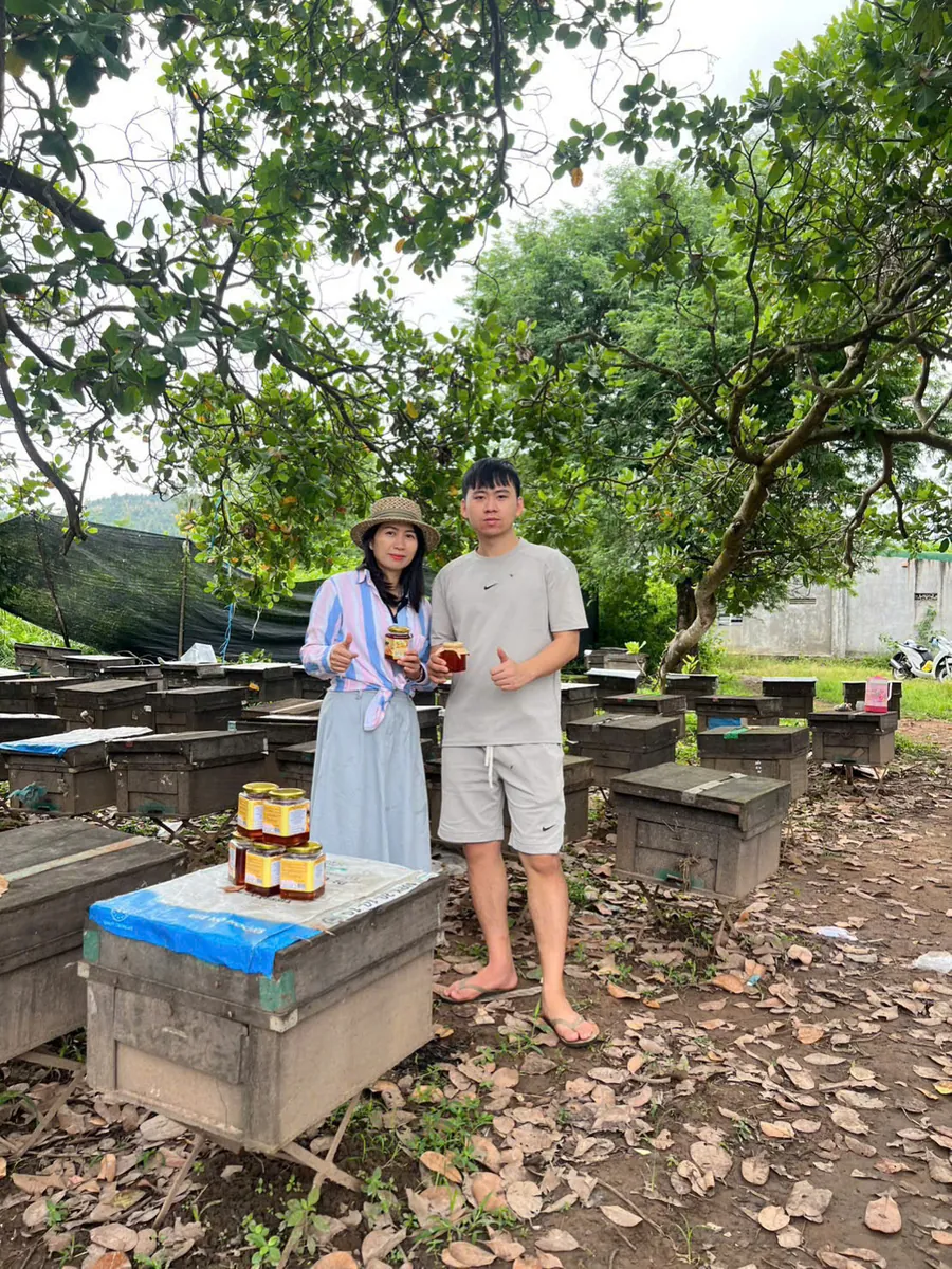 Hoạt động của Lumina