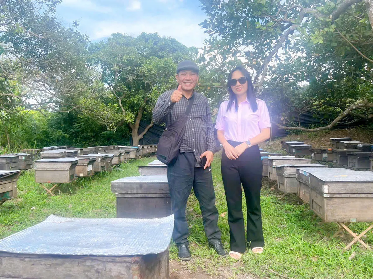 Trại ong dú giữa vườn cây