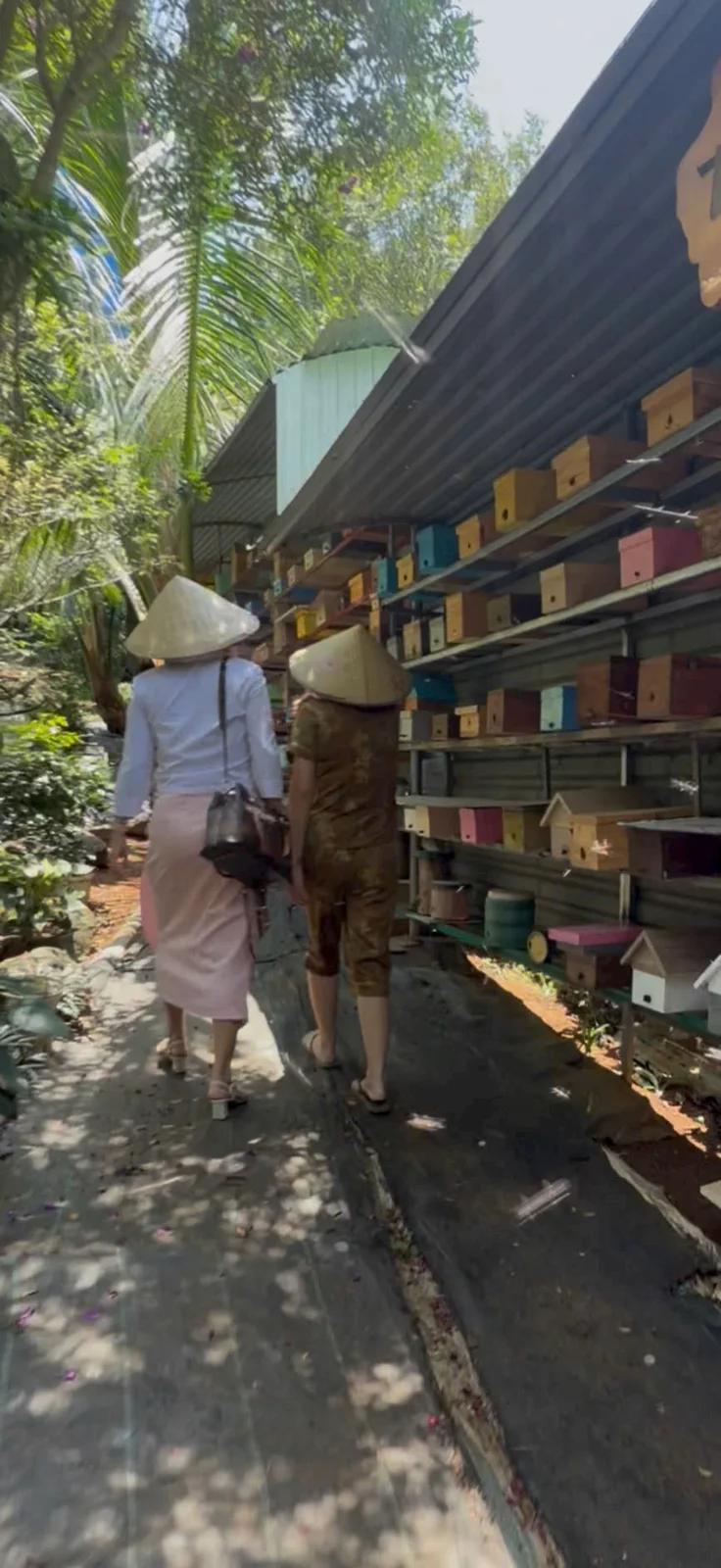 Dãy thùng ong dọc lối đi