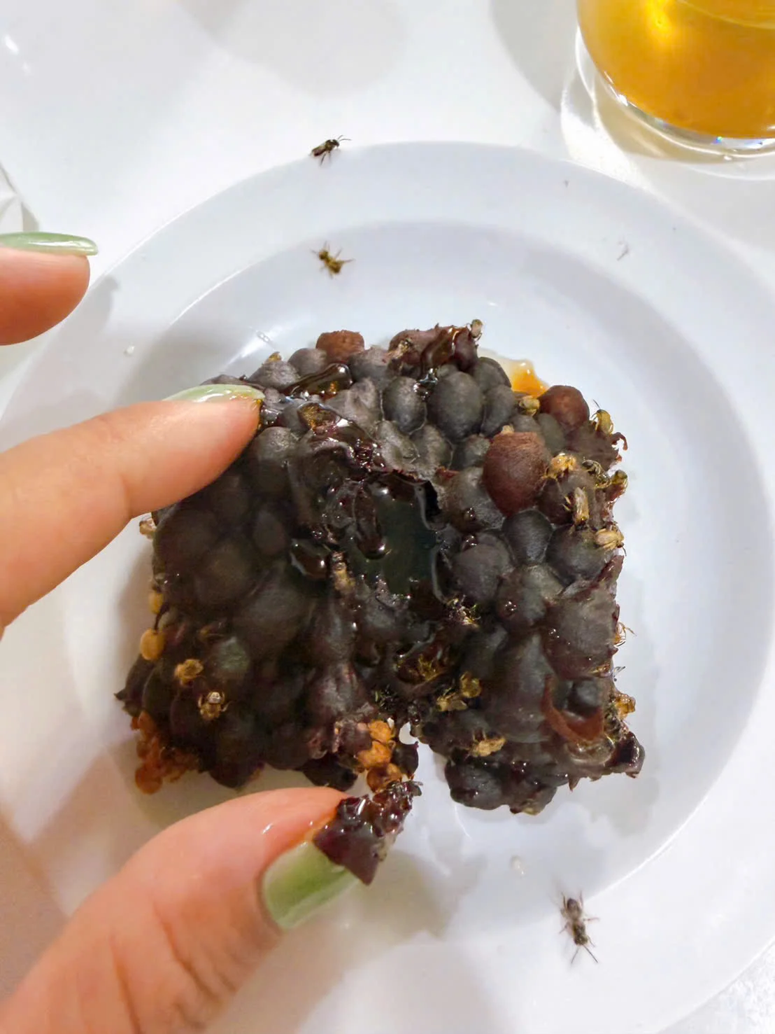 Túi mật ong dú trên tay