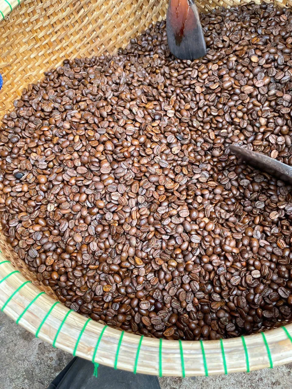 Mẻ cà phê phơi trên nong tre