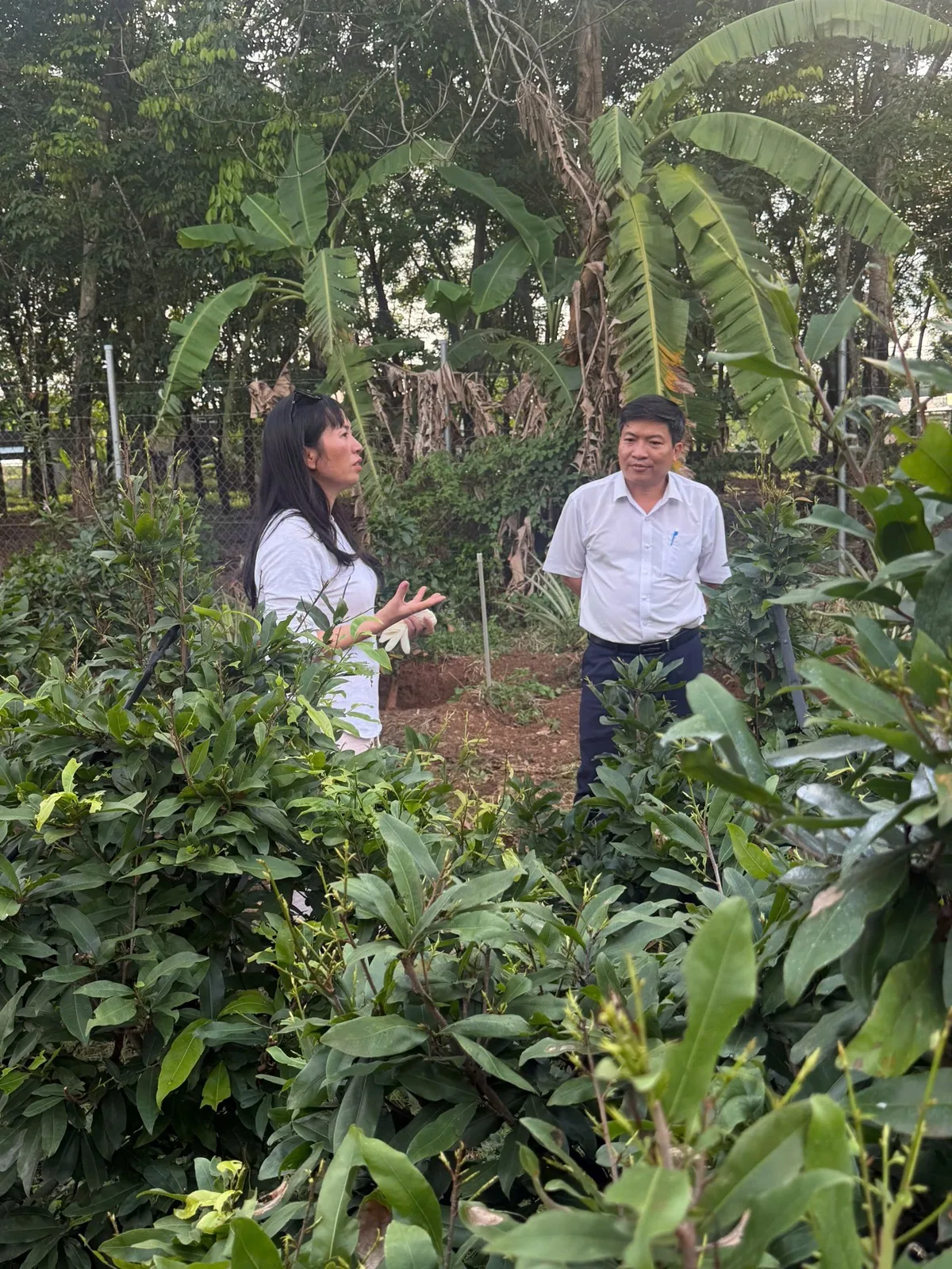 Đội khảo sát vùng nguyên liệu