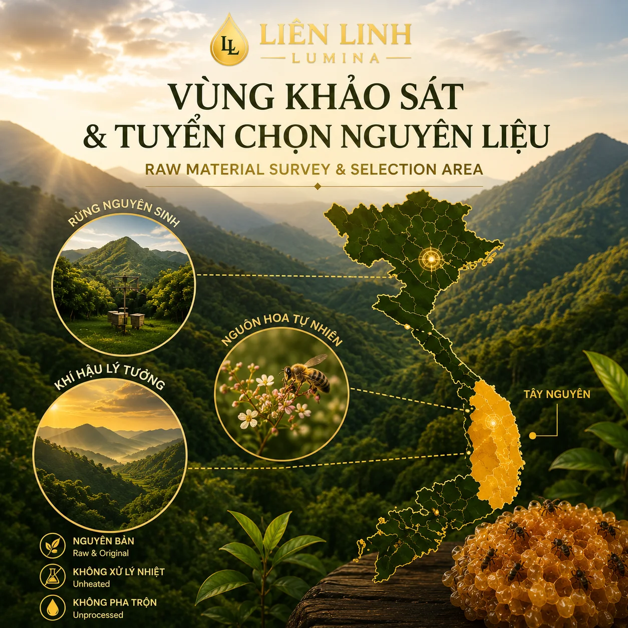 Vùng khảo sát và tuyển chọn nguyên liệu — rừng nguyên sinh, khí hậu lý tưởng, nguồn hoa tự nhiên