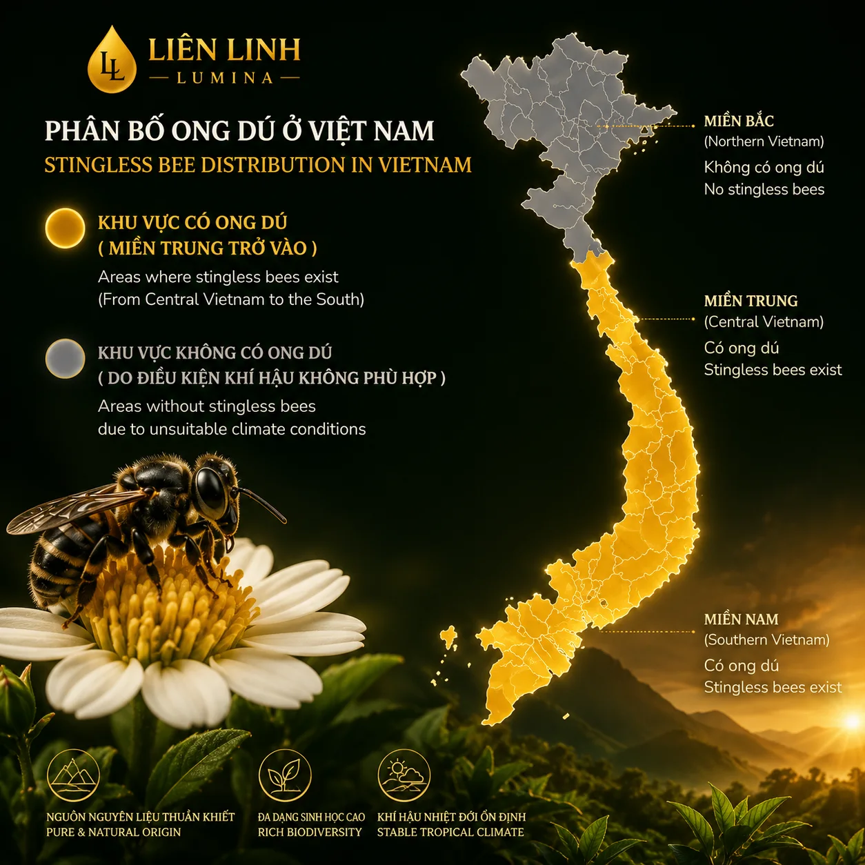 Bản đồ phân bố ong dú ở Việt Nam — từ miền Trung trở vào