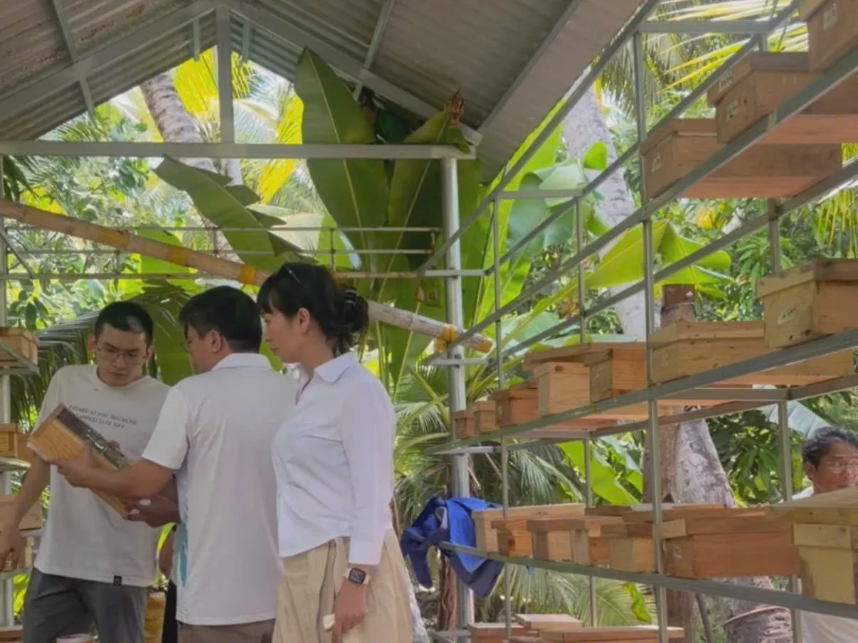 Khảo sát trại ong tại vùng nguyên liệu